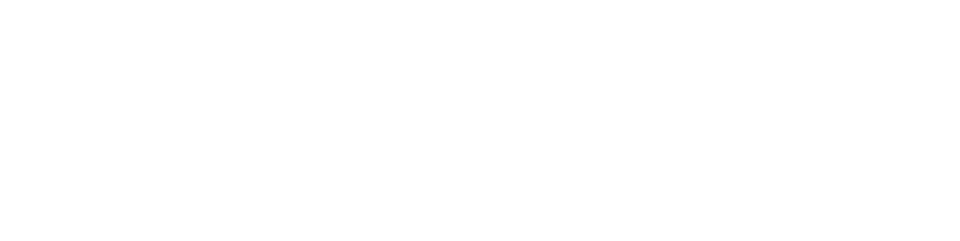 Panini logo